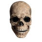 Movable Jaw Mask Non-Toxic Skull Mask Latex Headgear Tear-Resistant Full Head Skull Helmet For Outdoor Decorations Halloween